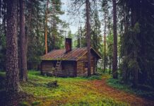 Czy Finlandia była w ZSRR? Czy Finlandia była w ZSRR?